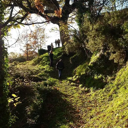 Il Nido Della Rondine Couette-café *