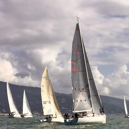 Il Nido Della Rondine