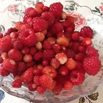 Il Nido Della Rondine Leivi