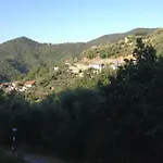 Il Nido Della Rondine * Leivi