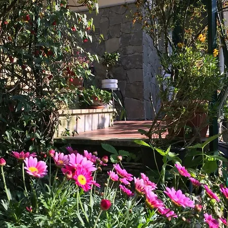 Il Nido Della Rondine Bed & Breakfast