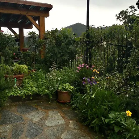 Il Nido Della Rondine Bed and breakfast Leivi