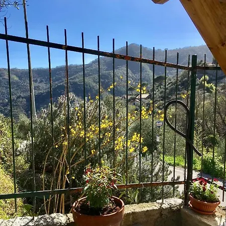 Il Nido Della Rondine * Leivi